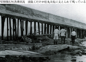 芦刈海岸昭和搦干拓堤防の基礎木杭（昭和34年台風による被災状況）